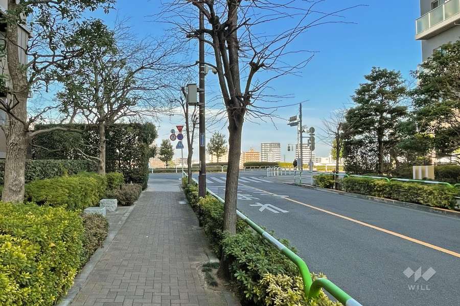 敷地東側の前面道路（南側から）