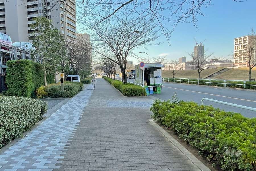 敷地北側は隅田川に面しています。