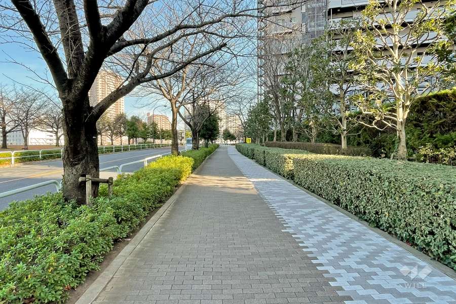 敷地北側の前面道路（西側から）