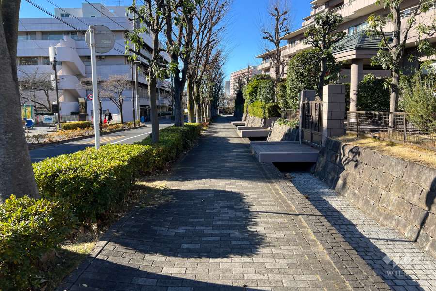 敷地の南西側前面道路（南東側から）