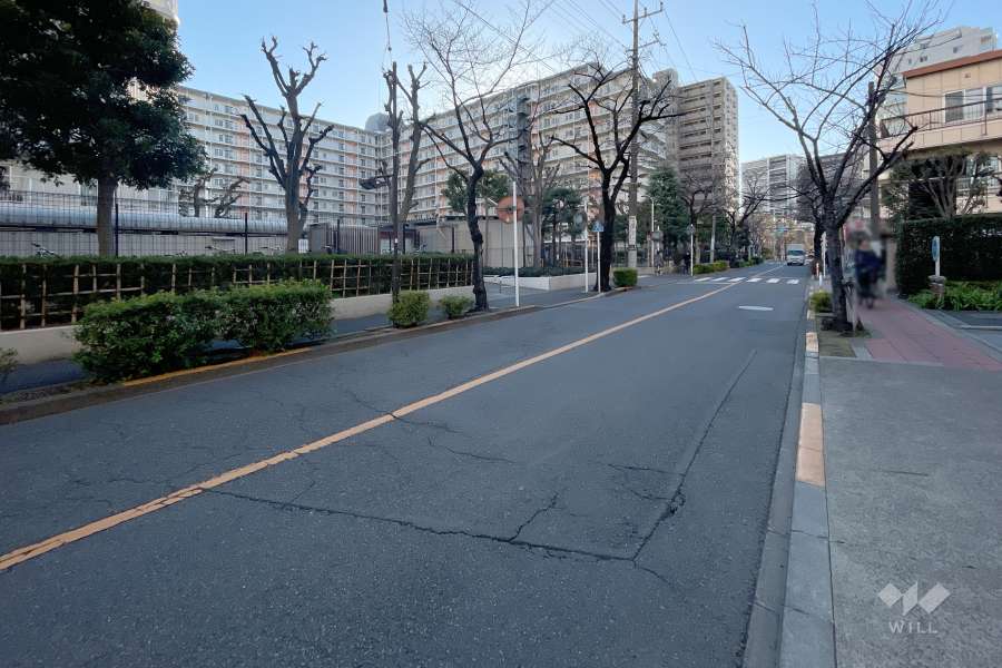 敷地南側の前面道路