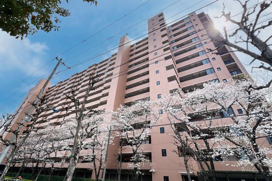 コスモステージ荒川遊園ノースリッジの外観（北西側から）