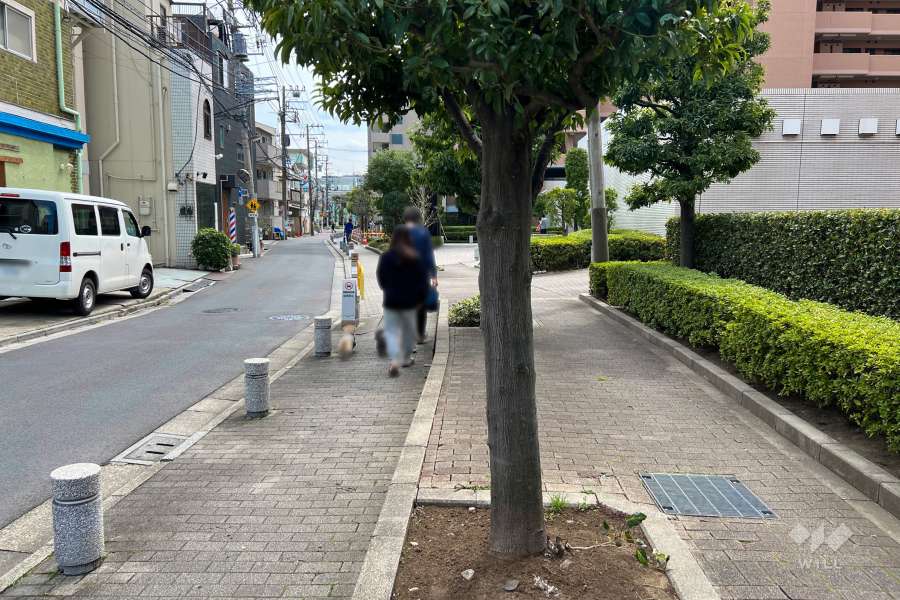 敷地の東側前面道路（北側から）