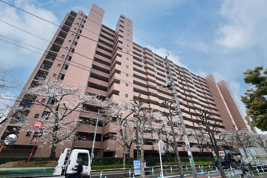 コスモステージ荒川遊園ノースリッジの外観（北東側から）