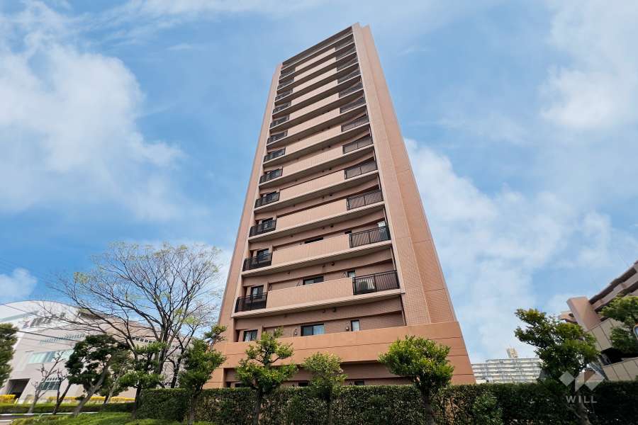 コスモステージ荒川遊園ノースリッジの外観（南西側から）