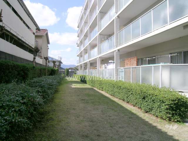 敷地の南部分の緑地スペース