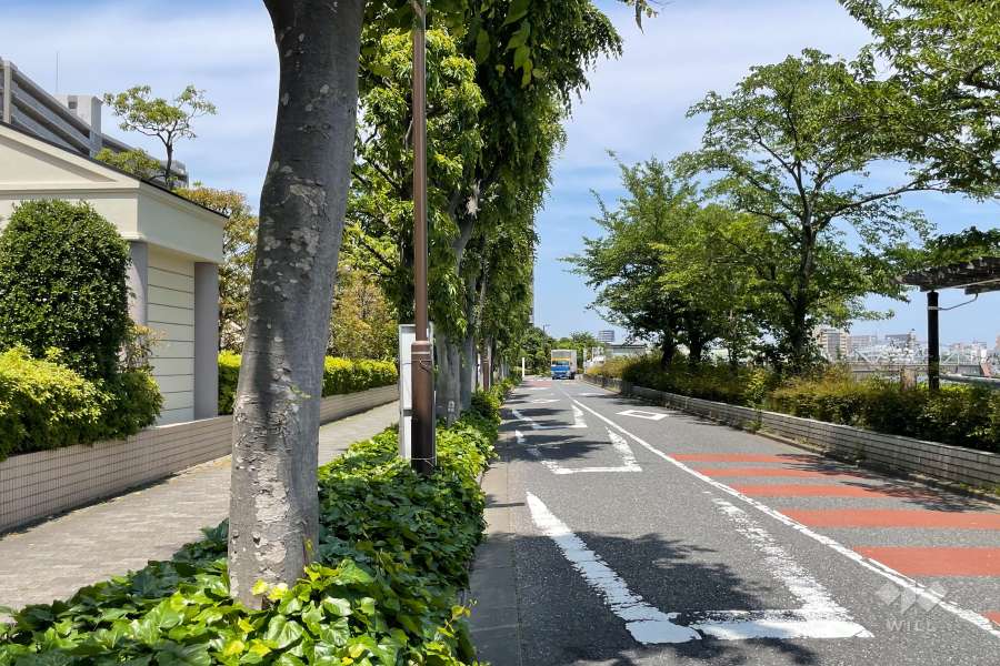 敷地北東側の前面道路（南東側から）