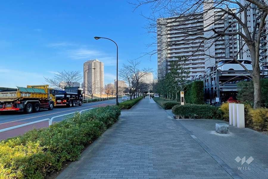 敷地北側の前面道路　
