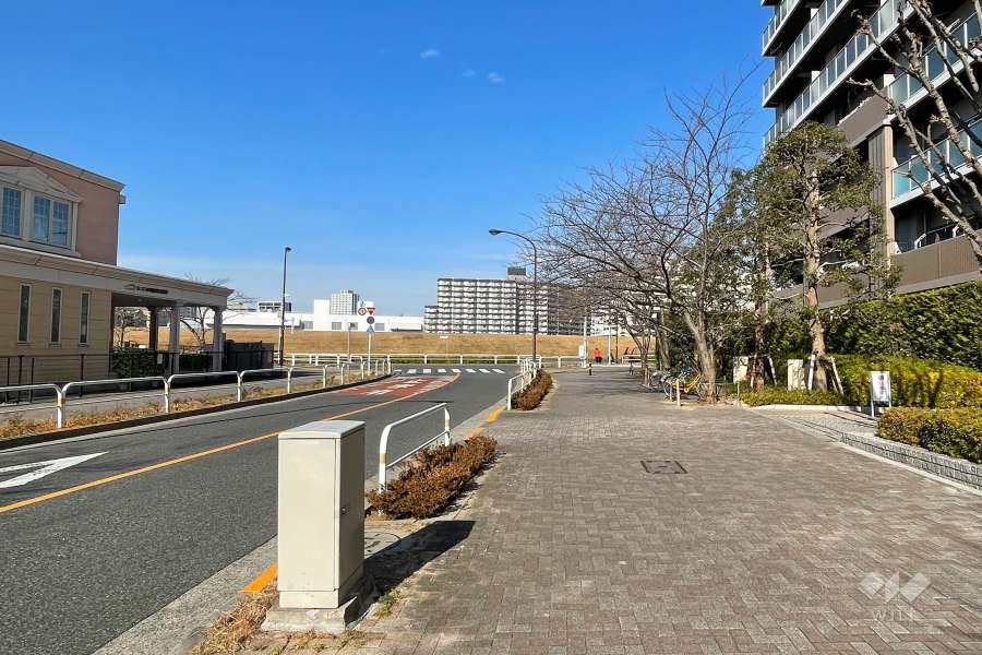 敷地西側の前面道路　
