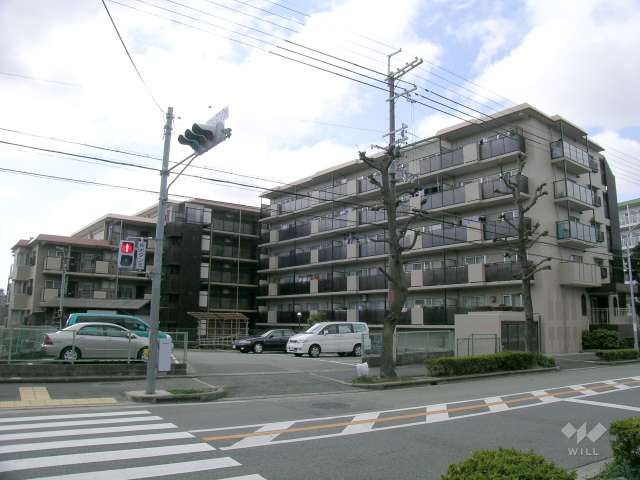 敷地北側は街路樹のきれいな二車線のバス通りで、バス停が徒歩1分の距離にあります。