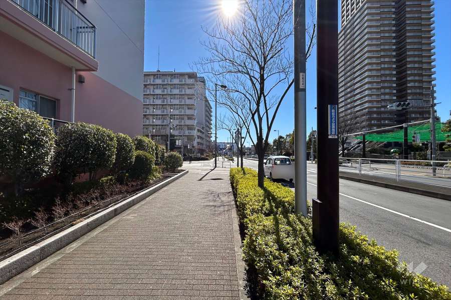 敷地西側の前面道路(北西側から)