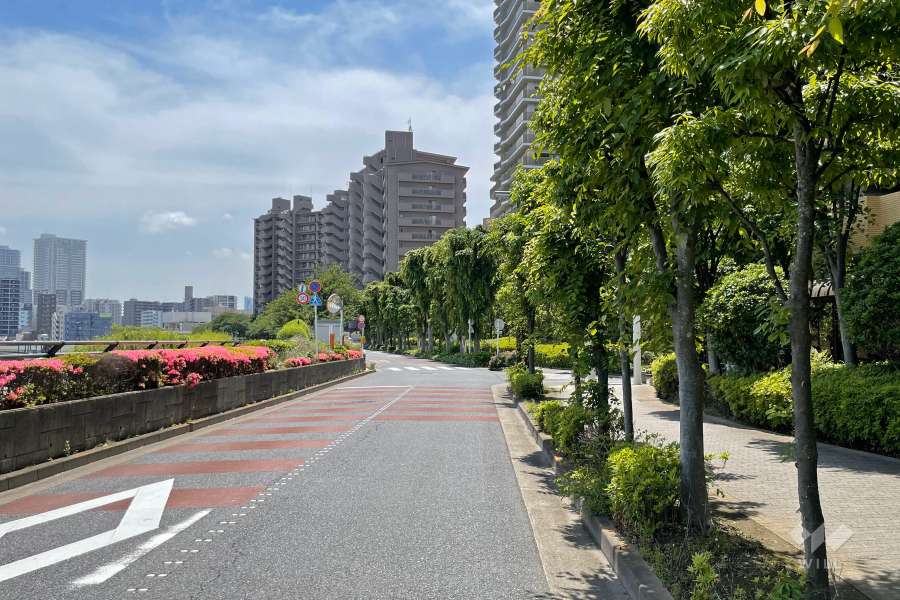 敷地北側の前面道路