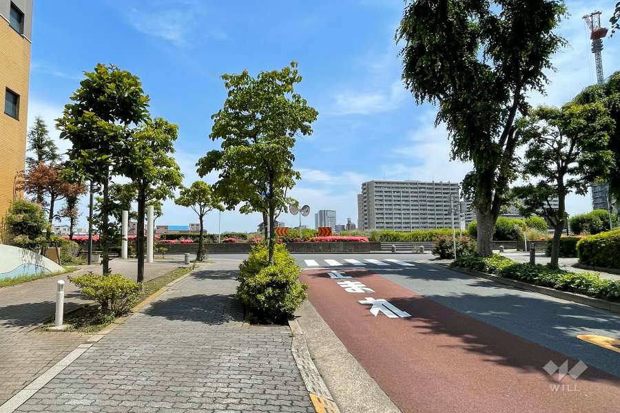 敷地東側の前面道路