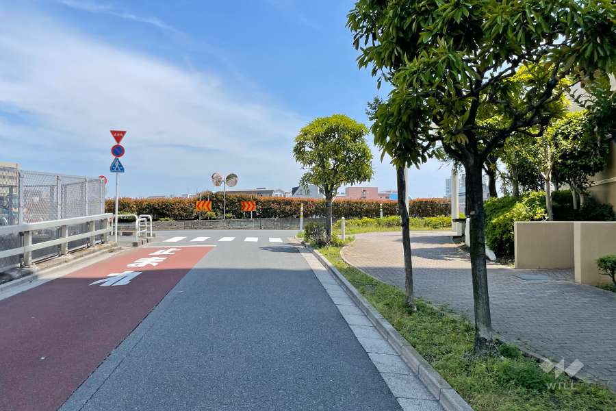 敷地西側の前面道路