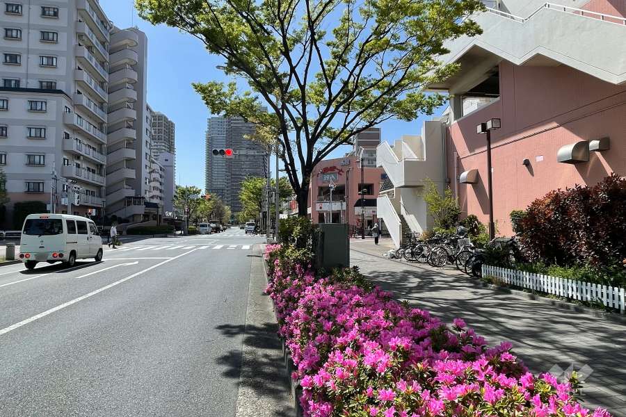 敷地南側の前面道路（東側から）