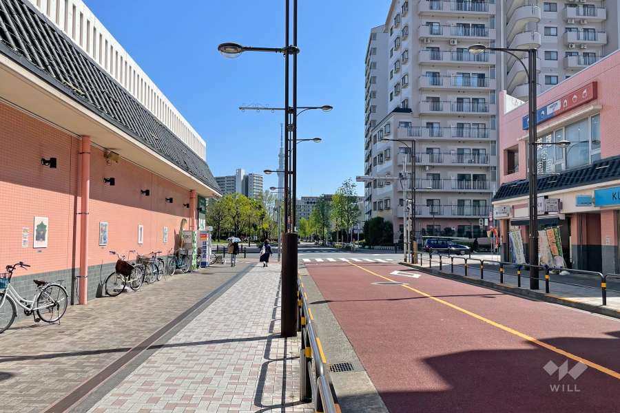 敷地東側の前面道路（北側から）