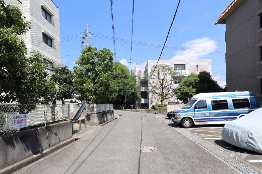 敷地南側の前面道路(西側から)
