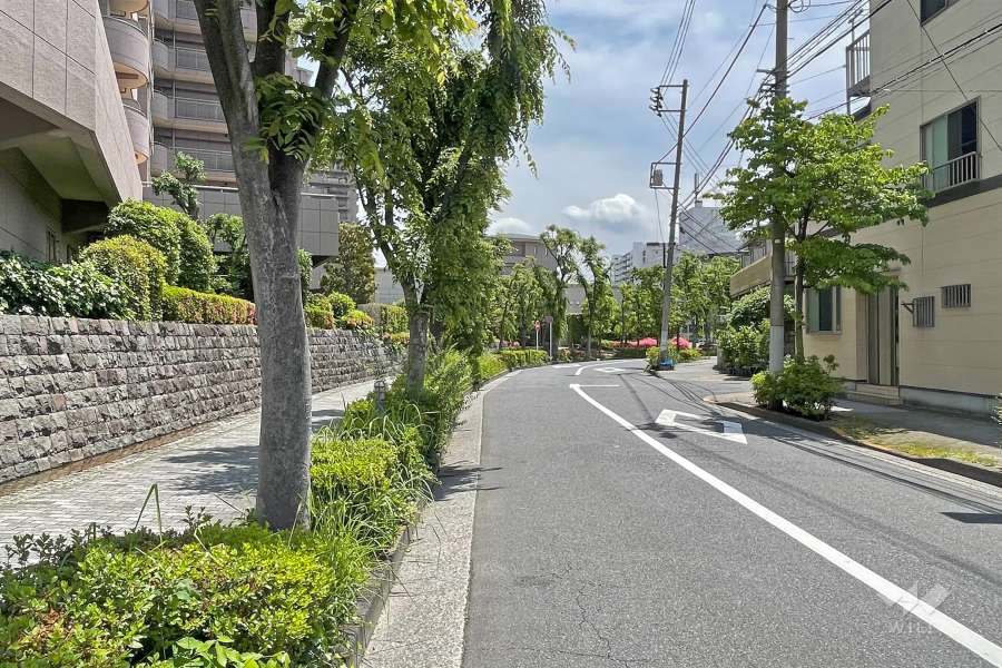 敷地の南側前面道路（西側から）