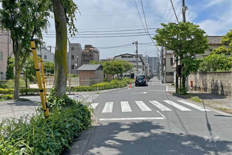 敷地の西側前面道路（北側から）