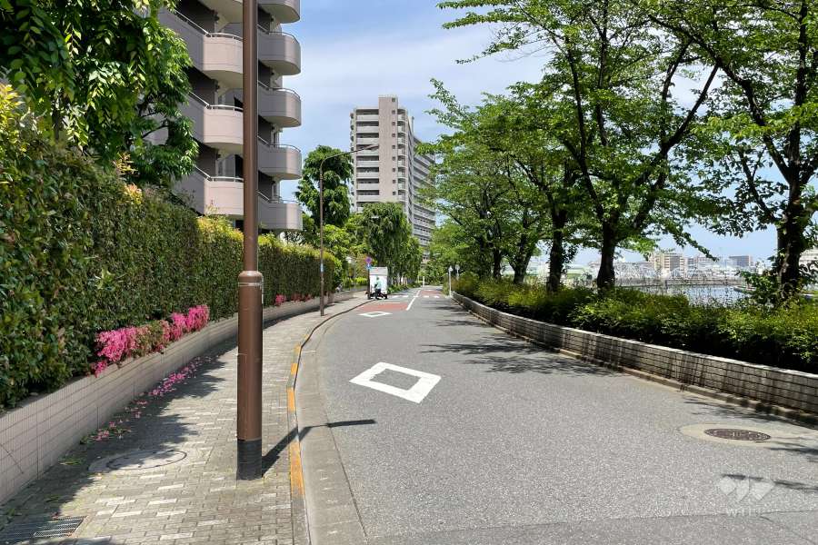 敷地北東側の前面道路　