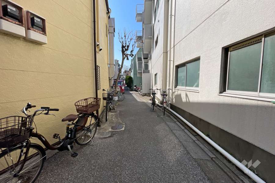 敷地の東側前面道路（北側から）