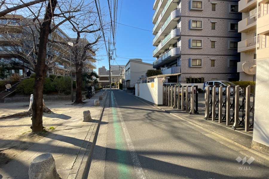 敷地南側の前面道路　