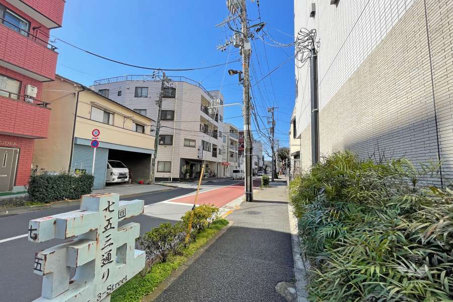 敷地南側の前面道路（東側から）