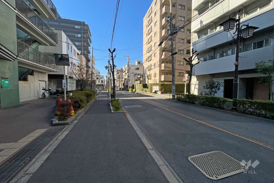 敷地の南側前面道路（東側から）