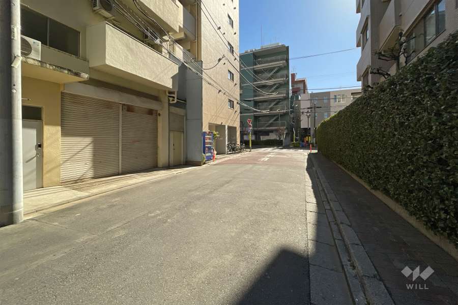 敷地の西側前面道路（北側から）