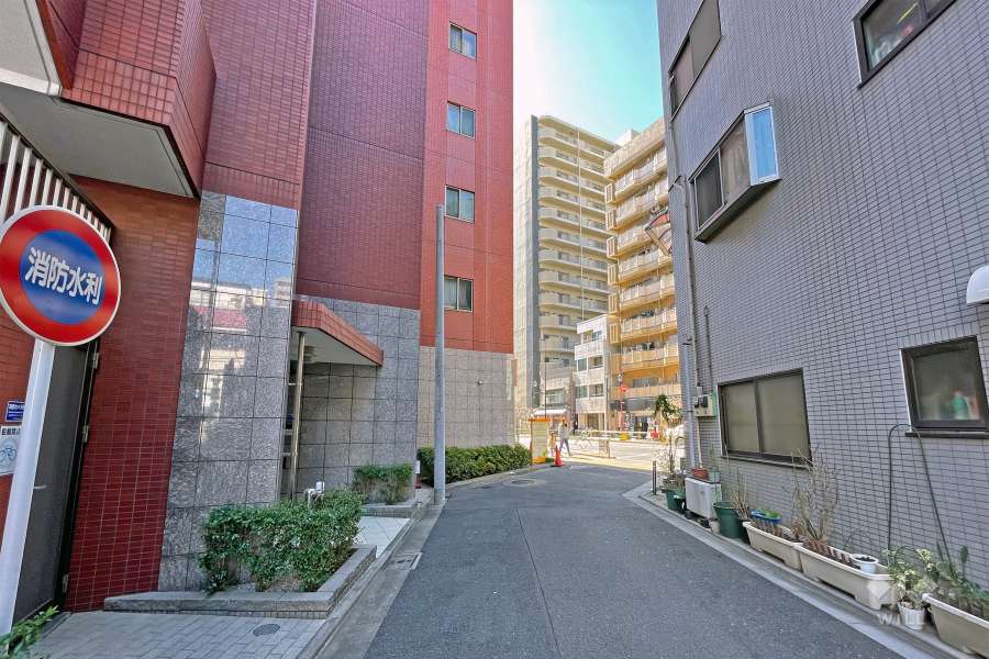 敷地の北西側前面道路（北東側から）