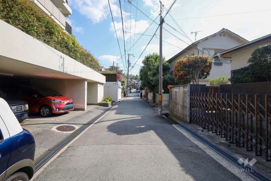敷地南側の前面道路（西側から）