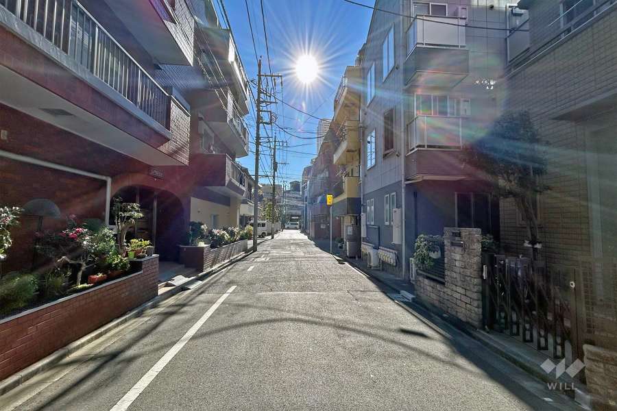 敷地の西側道路(北側から)