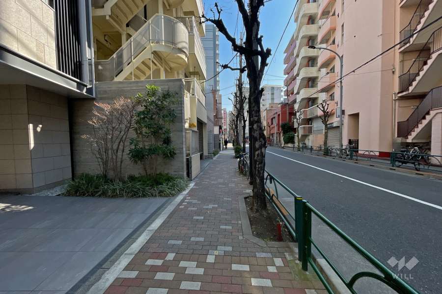 敷地南側の前面道路（西側から）