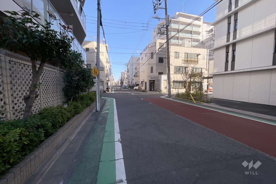 敷地北側の前面道路（西側から）