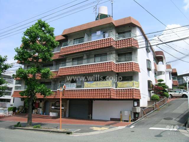 サツキハイツ長者の外観