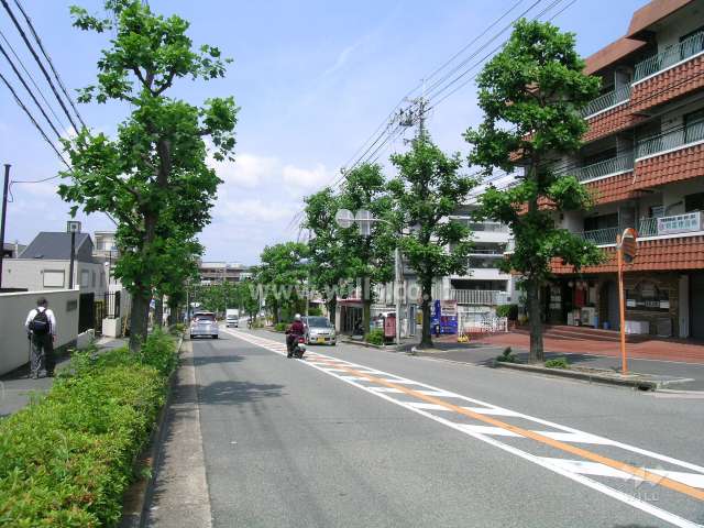 敷地南側のバス通り