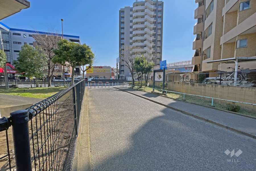 敷地の西側道路（南側から）