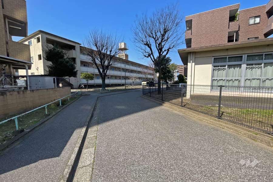 敷地南側の前面道路（東側から）