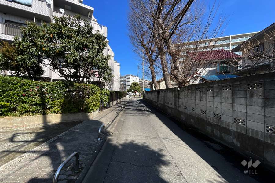 敷地南東側の前面道路（南西側から）