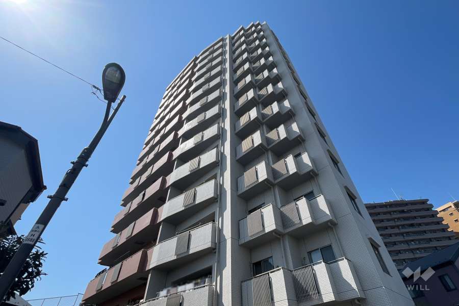 ザパームス竹ノ塚の外観（北東側から）