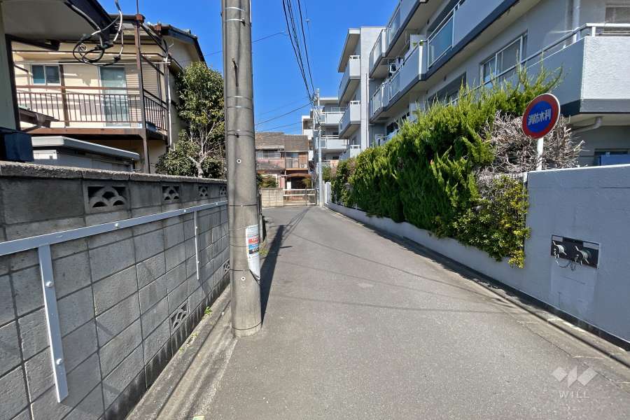 敷地西側の前面道路（南側から）