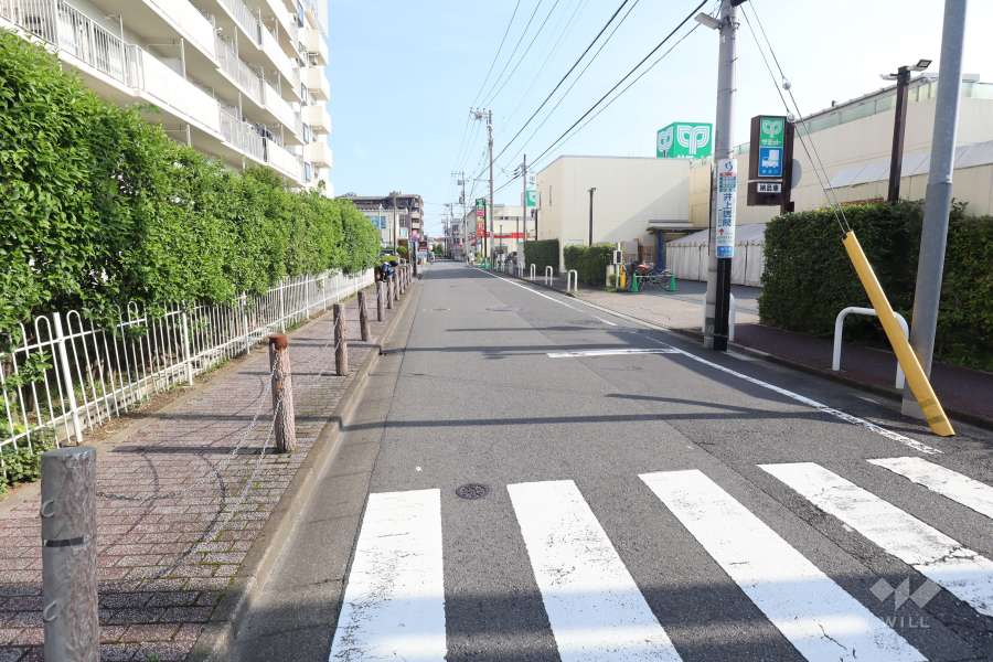 敷地西側の前面道路（北側から）