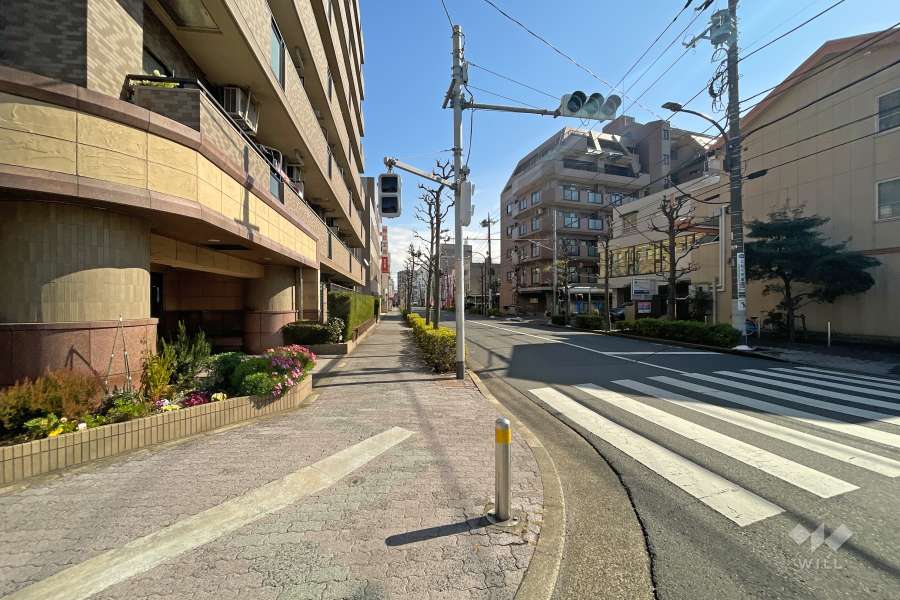 敷地南側の前面道路（西側から）
