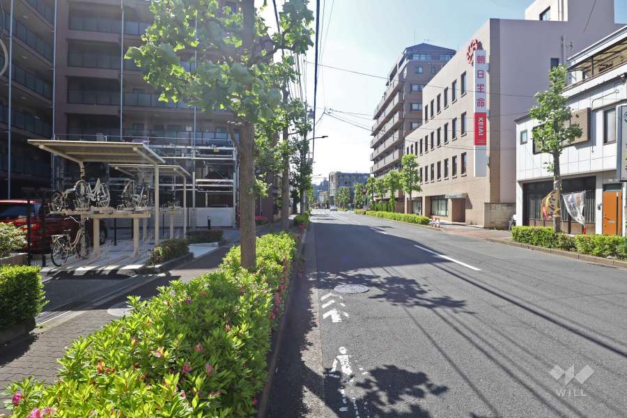 敷地北側の前面道路（東側から）