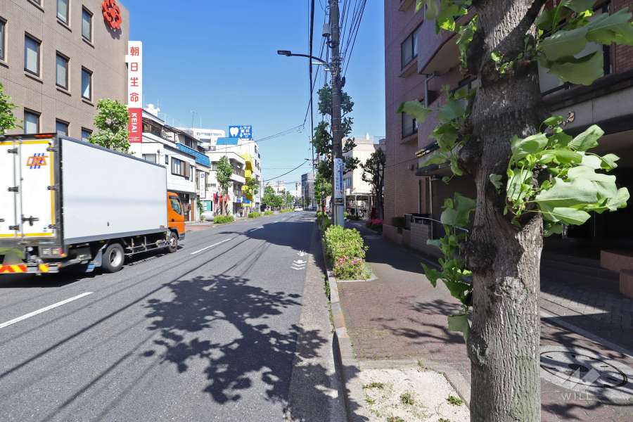 敷地北側の前面道路（西側から）