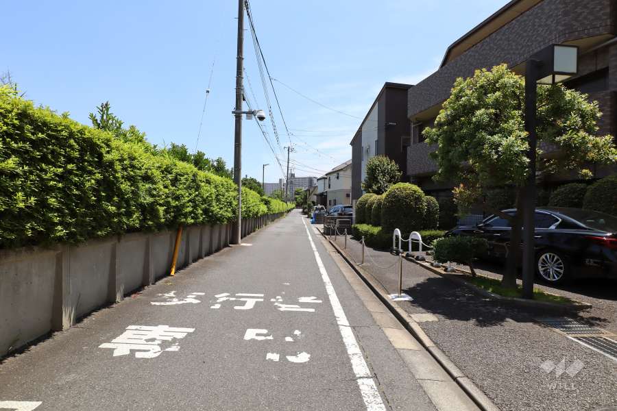 敷地北側の前面道路（西側から）