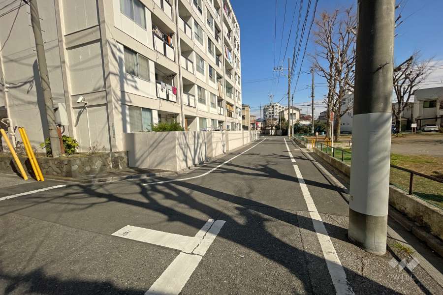 敷地南側の前面道路（西側から）