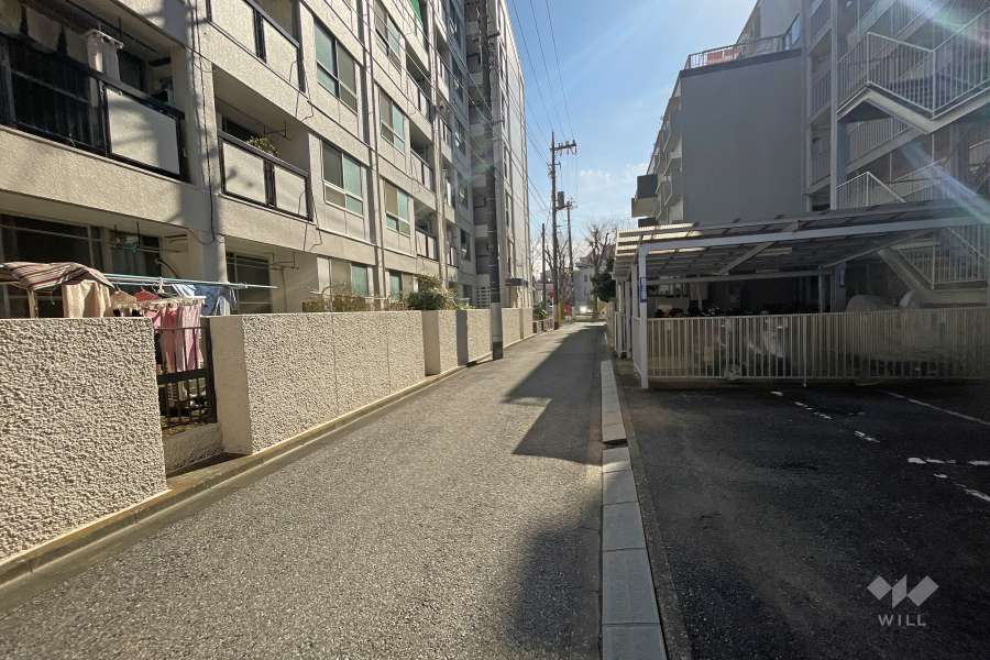 敷地西側の前面道路（北側から）