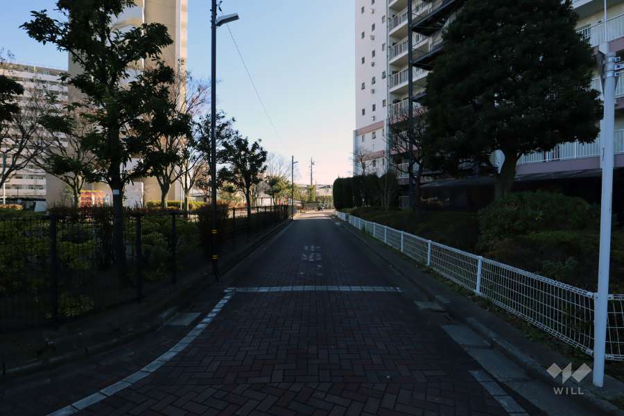 敷地東側の前面道路(北側から)