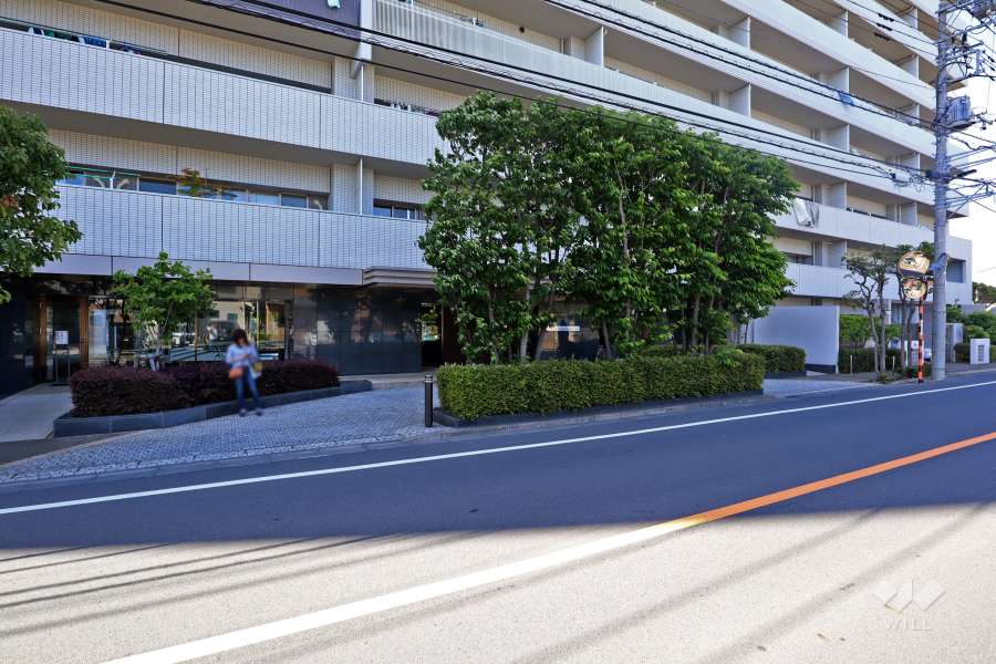 エントランスアプローチ